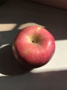 苹果 红富士