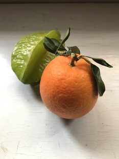 橙子 脐橙