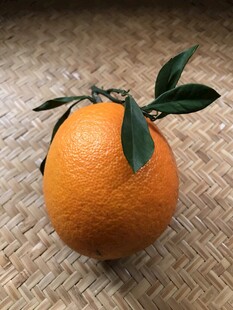 橙子 脐橙