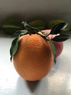 橙子 脐橙