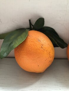 橙子 脐橙 