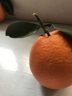 橙子 脐橙 