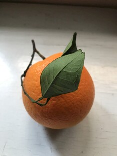 橙子 脐橙 