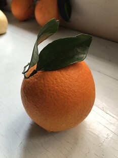橙子 脐橙 