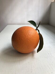 橙子 脐橙 
