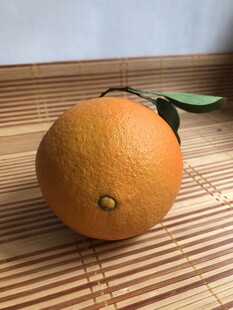橙子 脐橙 