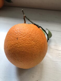 橙子 脐橙 