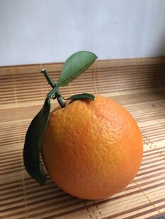 橙子 脐橙 