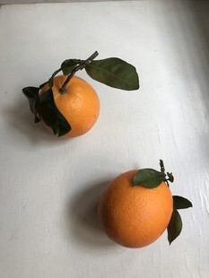 橙子 脐橙 