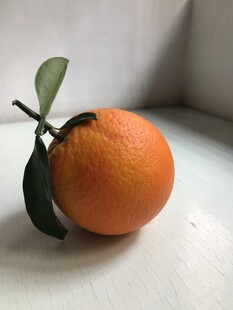 橙子 脐橙 