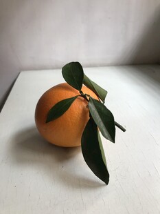 橙子 脐橙 