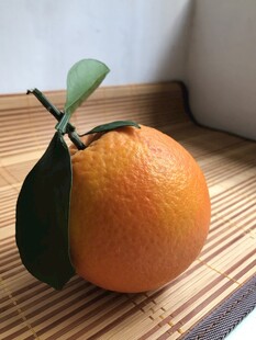 橙子 脐橙 