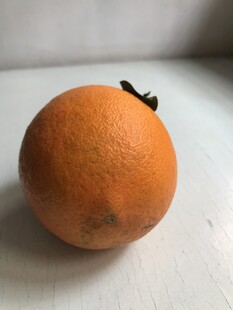 橙子 脐橙 