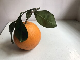 橙子 脐橙 