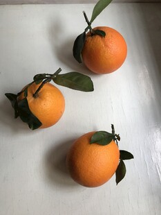 橙子 脐橙 