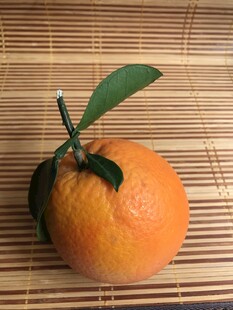橙子 脐橙 