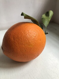 橙子 脐橙 