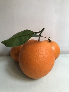 橙子 脐橙 