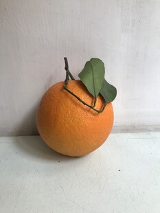 橙子 脐橙 