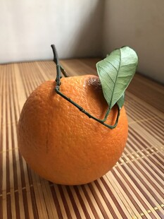橙子 脐橙 