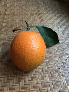 橙子 脐橙 