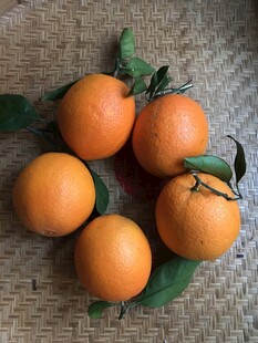橙子 脐橙 