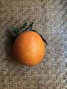 橙子 脐橙 