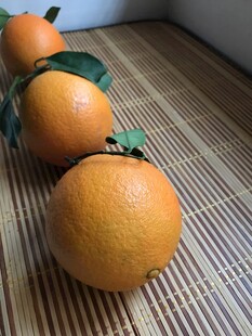 橙子 脐橙 