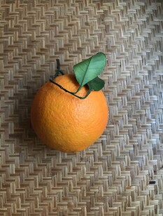 橙子 脐橙 