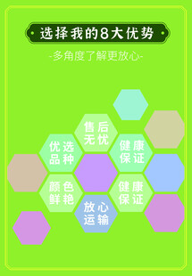 详情