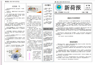 校报  报纸  