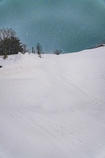 雪地摄影