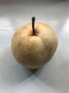 雪梨