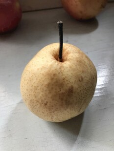 雪梨