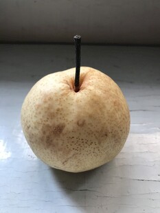 雪梨