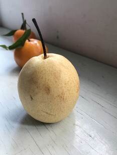 雪梨