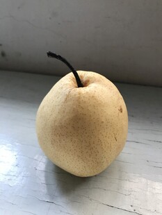雪梨