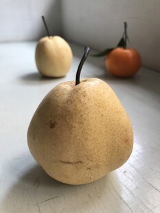 雪梨