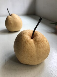 雪梨