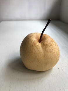 雪梨