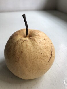 雪梨