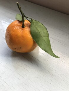 桔子 橘子