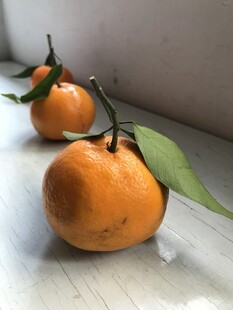 桔子 橘子
