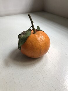 桔子 橘子