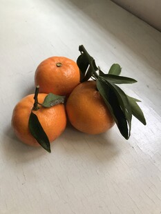 桔子 橘子