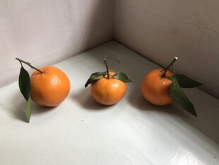 桔子 橘子