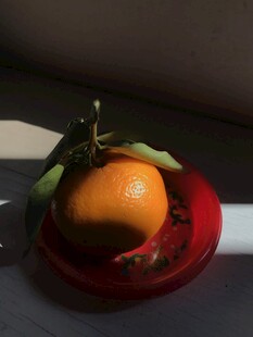 桔子 橘子