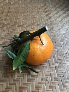 桔子 橘子