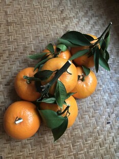 桔子 橘子