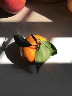 桔子 橘子